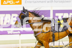 2025_PACEPIX_GP03102025_RACE10_SkyhighAdda_WIN_WEB-6