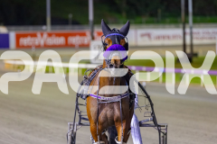 2025_PACEPIX_GP03102025_RACE10_SkyhighAdda_WIN_WEB-8