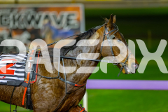 2026_PACEPIX_GP03072026_Race10_SirupIronJack_WIN_WEB-15