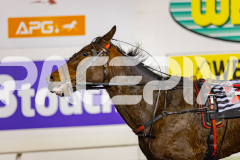 2026_PACEPIX_GP03072026_Race10_SirupIronJack_WIN_WEB-17