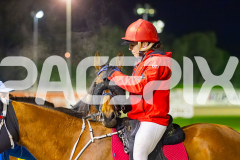 2025_PACEPIX_GP22082025_Race10_SunPublisher_WIN_WEB-10