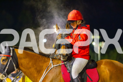 2025_PACEPIX_GP22082025_Race10_SunPublisher_WIN_WEB-13