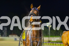 2025_PACEPIX_GP22082025_Race10_SunPublisher_WIN_WEB-18