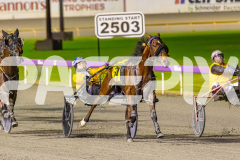 2025_PACEPIX_GP22082025_Race10_SunPublisher_WIN_WEB-2