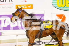 2025_PACEPIX_GP22082025_Race10_SunPublisher_WIN_WEB-8