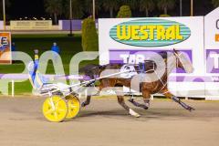 RACE 10 - Sweet Pins