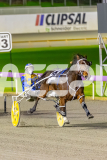 2025_PACEPIX_GP11072025_Race10_SweetPins_WIN_WEB-11