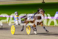 2025_PACEPIX_GP11072025_Race10_SweetPins_WIN_WEB-12