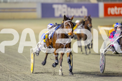 2025_PACEPIX_GP11072025_Race10_SweetPins_WIN_WEB-19