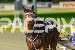 2025_PACEPIX_GP11072025_Race10_SweetPins_WIN_WEB-26