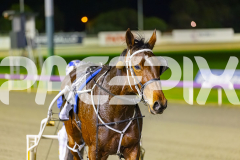 2025_PACEPIX_GP11072025_Race10_SweetPins_WIN_WEB-28