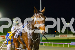 2025_PACEPIX_GP11072025_Race10_SweetPins_WIN_WEB-32