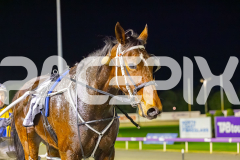 2025_PACEPIX_GP11072025_Race10_SweetPins_WIN_WEB-33