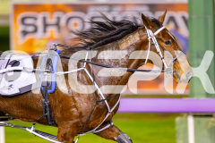2025_PACEPIX_GP11072025_Race10_SweetPins_WIN_WEB-5