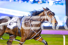 2025_PACEPIX_GP11072025_Race10_SweetPins_WIN_WEB-8