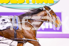 2025_PACEPIX_GP11072025_Race10_SweetPins_WIN_WEB-9