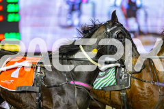 2026_PACEPIX_GP29052026_RACE10_TheFinalOffer_WIN_WEB-8