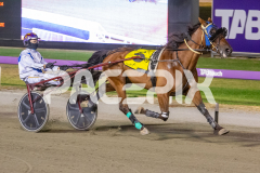 The-honours_17-02-2026_WIN_Cloucester-Park_10__05