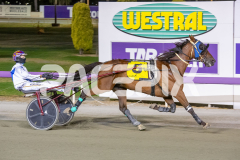 The-honours_17-02-2026_WIN_Cloucester-Park_10__07