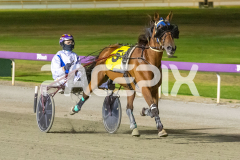 The-honours_17-02-2026_WIN_Cloucester-Park_10__09