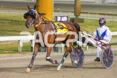 The-honours_17-02-2026_WIN_Cloucester-Park_10__12