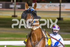 The-honours_17-02-2026_WIN_Cloucester-Park_10__13