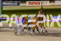 2025_Pacepix_GP26092025_Race10_TheIronDuke_WIN_WEB-11