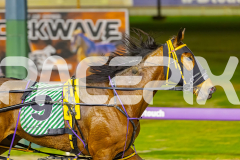 2025_Pacepix_GP26092025_Race10_TheIronDuke_WIN_WEB-16