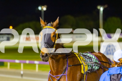 2025_Pacepix_GP26092025_Race10_TheIronDuke_WIN_WEB-20