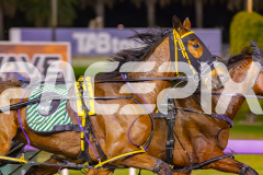 2025_Pacepix_GP26092025_Race10_TheIronDuke_WIN_WEB-8