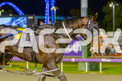 RACE 10 - Thelittle Master