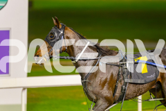 2025_PACEPIX_GP06062025_RACE10_ThelittleMaster_WIN_WEB-12