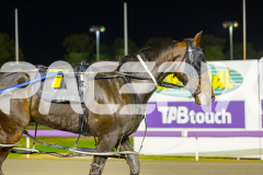 2025_PACEPIX_GP06062025_RACE10_ThelittleMaster_WIN_WEB-16