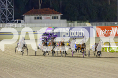 2025_PACEPIX_GP06062025_RACE10_ThelittleMaster_WIN_WEB-2