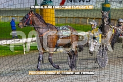 2026_PACEPIX_GP18092026_RACE10_VinitaRose_WIN_WEB-13