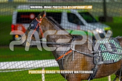 2026_PACEPIX_GP18092026_RACE10_VinitaRose_WIN_WEB-14