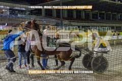 2026_PACEPIX_GP18092026_RACE10_VinitaRose_WIN_WEB-17