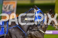 2026_PACEPIX_GP10042026_RACE10_WaveRebellion_WIN_WEB-13