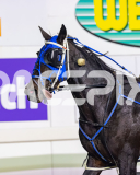 2026_PACEPIX_GP10042026_RACE10_WaveRebellion_WIN_WEB-17