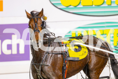 2025_PACEPIX_GP16052025_Race10_TobyGeorge_WavesOfFortune_WIN_WEB-14