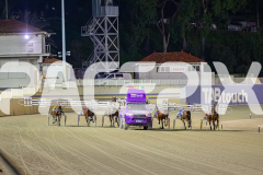 2025_PACEPIX_GP01082025_RACE10_YankeeLincoln_WIN_WEB-1