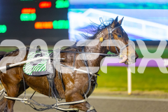 2025_PACEPIX_GP01082025_RACE10_YankeeLincoln_WIN_WEB-11