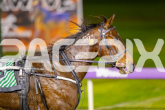 2025_PACEPIX_GP01082025_RACE10_YankeeLincoln_WIN_WEB-13