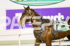 2025_PACEPIX_GP01082025_RACE10_YankeeLincoln_WIN_WEB-16