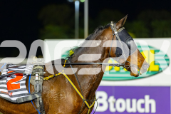 2026_PACEPIX_GP12062026_RACE10_Zlato_WIN_WEB-19