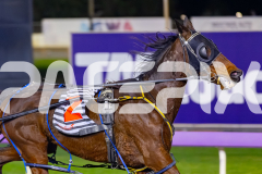 2026_PACEPIX_GP12062026_RACE10_Zlato_WIN_WEB-3