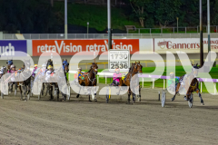 2026_PACEPIX_GP12062026_RACE10_Zlato_WIN_WEB-9