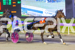 RACE 11 - In Rare Air