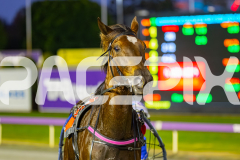 2025_PACEPIX_GP28072025_RACE11_InRareAir_WIN_WEB-18