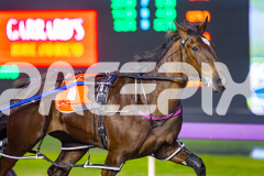 2025_PACEPIX_GP28072025_RACE11_InRareAir_WIN_WEB-4